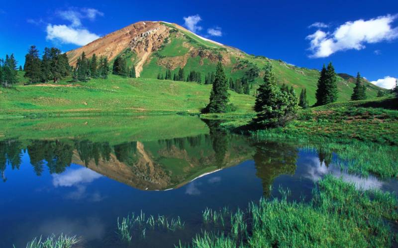 汽车保养常识，让你省下上万元冤枉钱！